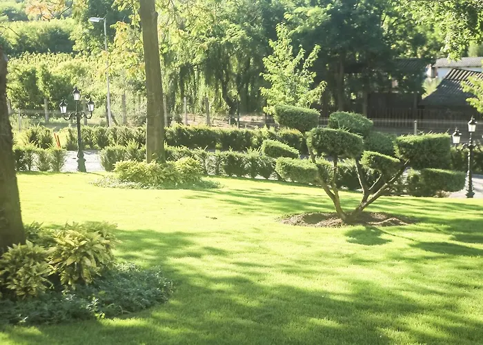 Borostyan Medhotel Hotel Nyiradony-Tamasipuszta